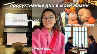 учебный влог | возвращение на канал, много домашних дел и учебы