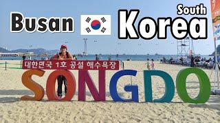 สะพานเชื่อมรักปูซาน  Skywalk Songdo Beach | Busan, South Korea | GoNoGuide Go ep.361