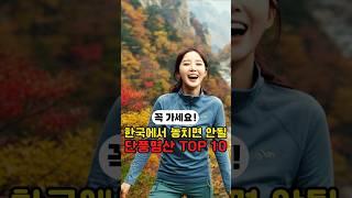 등산 마니아들이 꼽은 한국 최고의 단풍 명산 TOP 10