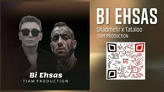 Amir Tataloo x Shadmehr Aghili  - Bi Ehsas - TIAM Remix (شادمهر عقیلی - امیر تتلو (بی احساس ریمیکس