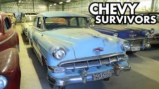 HUGE Chevy Survivor Car Collection - Amassed over 50 years!