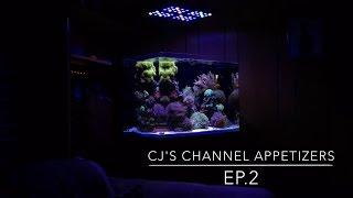 CJ's Channel Appetizers: Episode 2