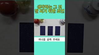 생각하는 그 것 잘 되기  위한 조언 #타로 #타로연애운 #tarot #타로카드 #상대방속마음 #타로금전운 #타로행운 #부자 #명상 #타로진로운 #타로사업운 #로또  #오늘의운세