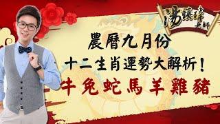 農曆九月份，十二生肖運勢大解析！牛、兔、蛇、馬、羊、雞、豬要注意️