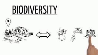 Biodiversity Explained