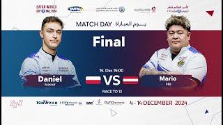 QATAR WORLD CUP  10 BALL 2024 - FINAL - Race to 13