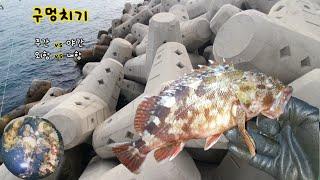 구멍치기낚시로 독가시가 있는 생선을 잡아서 안주해 먹어보자(Hole fishing)