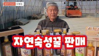 꿀판매 2024년산 자연숙성꿀판매 괴산 꿀항아리농장 산지직송