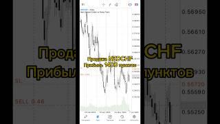 Обучающее форекс видео по NZDCHF. Прибыль +1400 пунктов