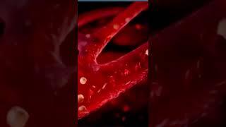 Circulatory system #allthingsls #tutormels #sciencemadeeasy #loveforknowledge #shorts #shortvideo