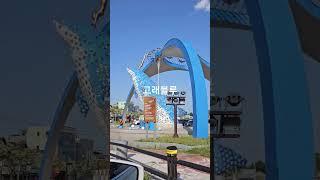 #고래블루 #여행 #휴가 #동해 #주말 #일상 #소통
