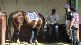 TVG Goes Inside Quarter Horse's Most Iconic Race - All American