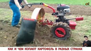 КАК КОПАЮТ КАРТОФЕЛЬ МОТОБЛОКОМ В РАЗНЫХ СТРАНАХ /HARVESTING POTATOES IN DIFFERENT COUNTRIES