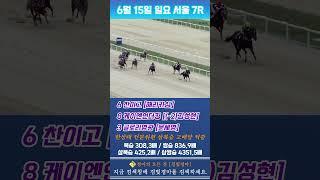 [서울 경마] 6월 15일 일요 7경주 한상태 전문위원 삼복승 고배당 적중 #경마 #하이라이트 #고배당
