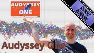 Audyssey One: Das ultimative Tool?