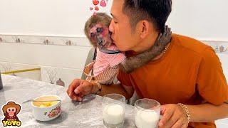 How happy Monkey YoYo Jr is with dad