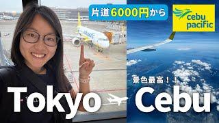 【セブパシフィック航空レビュー】入国から格安で市内まで移動方法も紹介！