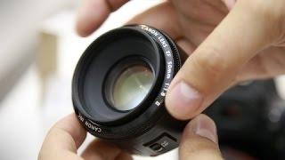 Canon EF 50mm f/1.8 lens review with samples (Full-frame and APS-C)