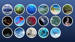 Marine Biology at Home 1: Introduction