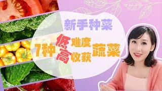 种菜园艺| 7种高收获低养护的好吃蔬菜，附赠种菜小白提升绝技