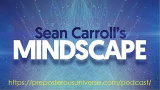 Mindscape 79 | Sara Imari Walker on Information and the Origin of Life