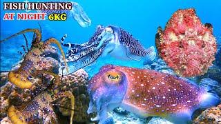 Lặn Biển Bắt Tôm Hùm, Mực Nang, Cá Mặt Quỷ Kiếm Tiền Triệu Nuôi Gia Đình