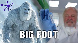 The Yeti Mystery: Is DNA Evidence the Key to Proving Its Existence? - Science Documentary - AT