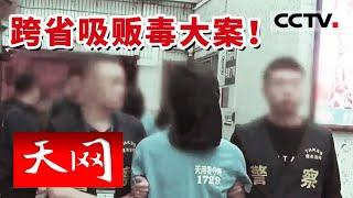 《天网》跨省吸贩毒大案！无业游民却经常出入高档消费场所 “发家”路竟是贩毒？| CCTV社会与法