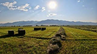 The Daily Grind Of Hay Season