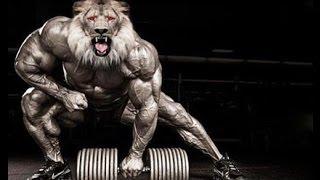 70 il qoyun,yoxsa 30 il aslan qədər yaşamaq istərdin? Bodybuilding motivation