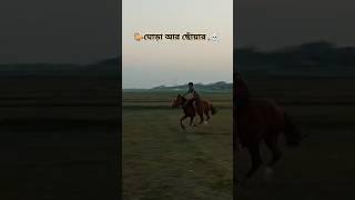 ঘোড়ার ছোঁয়ারি আল্প ছোটো হয়ে গেলো না  #youtubeshorts #trendingshorts #remix #music #horserun #bass