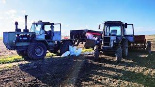 Пізня посівнаПшениця коркою накриласяЩо з цього буде