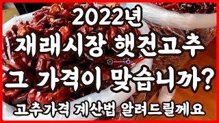 햇건고추 햇고추 눈탱이 안맞고 재래시장에서 살 수 있는 방법 그리고  재래시장 보다 품질 좋은 고추를 싸게 살 수 있는 방법