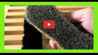 Which Horsehair Shoe Brush Is Best?