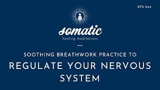 Soothing Breathwork Practice to Regulate Your Nervous System