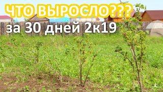 Обзор участка возле дома. Что растет в огороде. Строю каркасный дом на покрышках