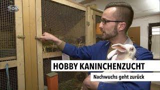 Hobby Kaninchenzucht | RON TV |