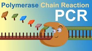 PCR - Polymerase Chain Reaction (IQOG-CSIC)