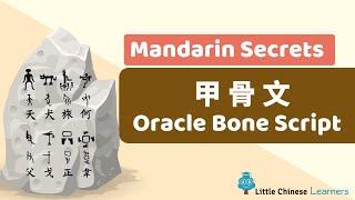 Kids Learn Mandarin - Mandarin Secret 甲骨文 Oracle Bone Script | Little Chinese Learners