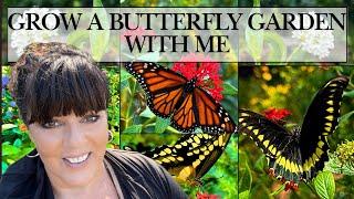 Fabulous Discoveries While Exploring my Florida Garden, Featuring Butterflies and Baby Caterpillars