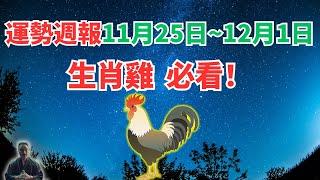 命理測算：屬雞人一週運勢（11月25日至12月1日），內含吉凶日，一定要看！ #生肖雞運勢 #生肖雞運程 #屬雞運勢 #屬雞運程