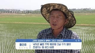 기호5. 평택시-오성강변 르네상스