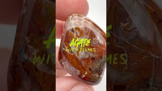 Cool agate with plumes! #rockcrystal #rocktumbling #rocks