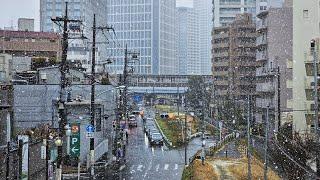 Heavy Snow in Tokyo - March 19, 2025 - Live Walk