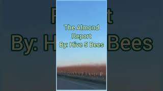 Almond Report By: Hive 5 Bees