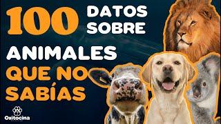 100 DATOS SOBRE  ANIMALES QUE NO  sabías HACE POCOS  MINUTOS