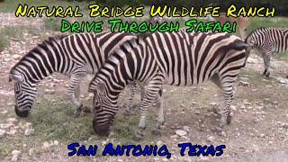 Natural Bridge Wildlife Ranch Full Tour - San Antonio, Texas