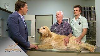 Mountains of Opportunity: Tony and Ross Henderson, Fox Hollow Animal Hospital