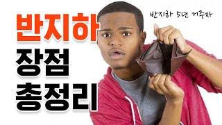 반지하 원룸 자취 5년차의 반지하 장점 총정리