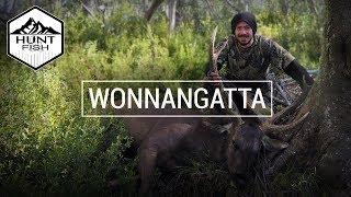 WONNANGATTA - Sambar Hunting the Victorian High Country